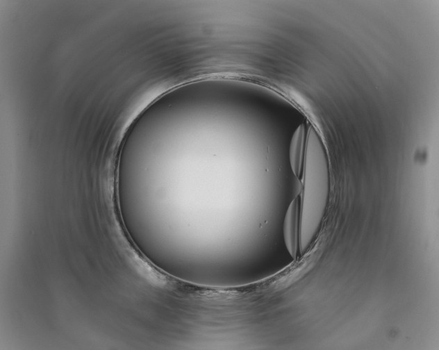 X0000090970859200708161834