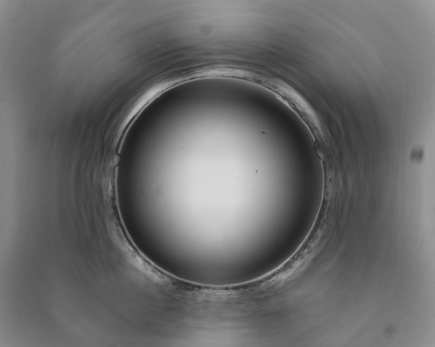 X0000090970860200708161834