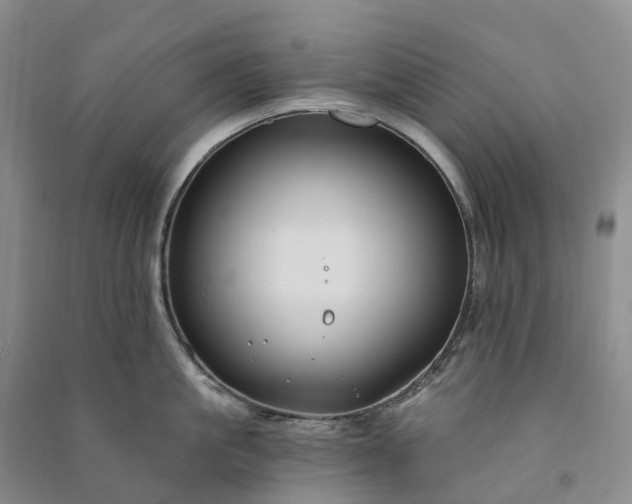 X0000090970861200708161834