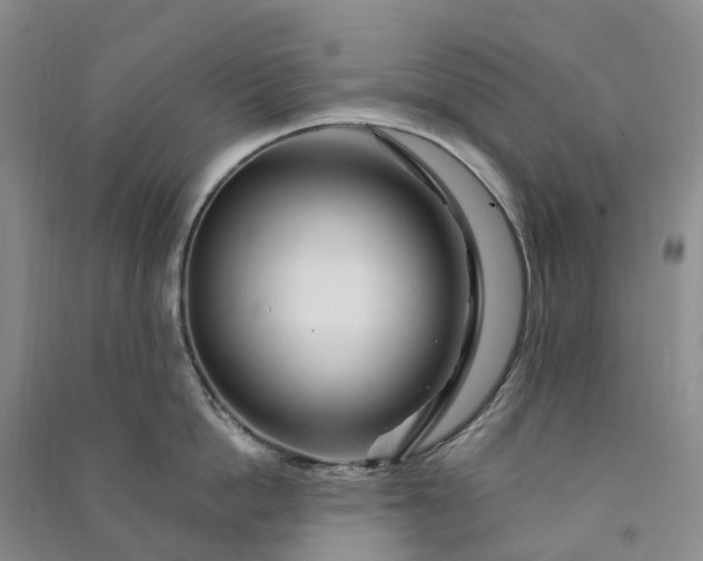 X0000090970862200708161834