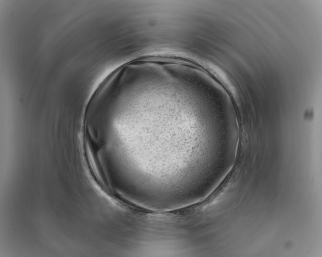 X0000090970863200708161834