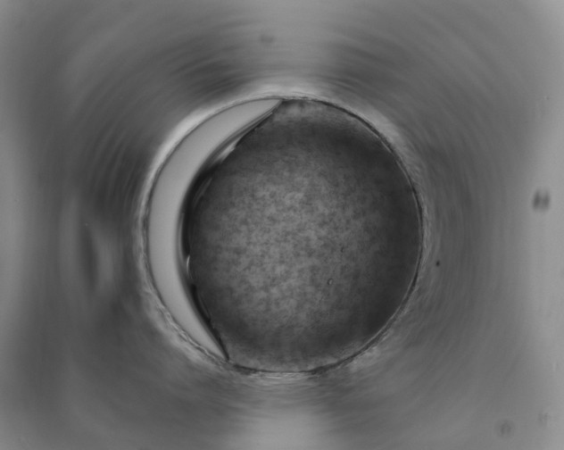 X0000090970864200708161834