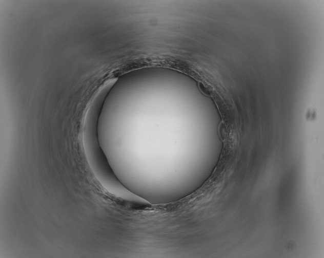 X0000090970865200708161834