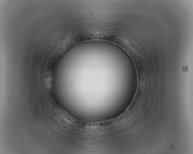 X0000090970866200708161834