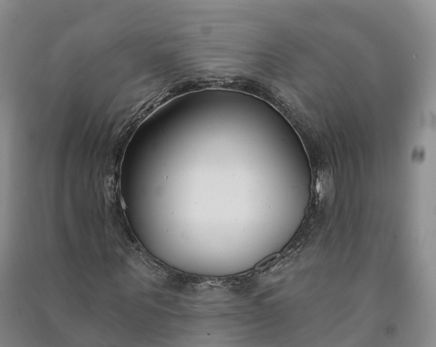 X0000090970867200708161834