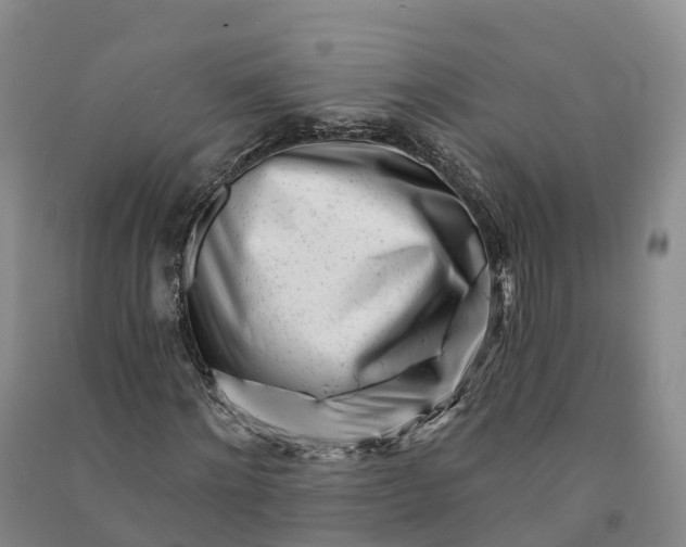 X0000090970868200708161834