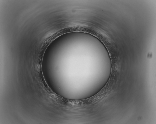 X0000090970869200708161834