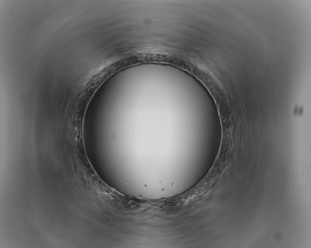 X0000090970870200708161834