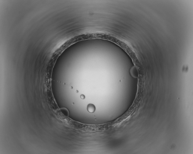 X0000090970871200708161834