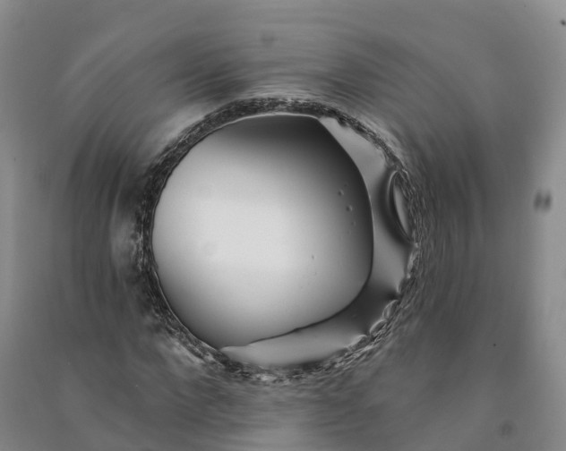 X0000090970872200708161834