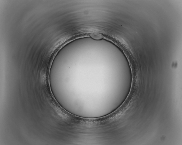 X0000090970873200708161834