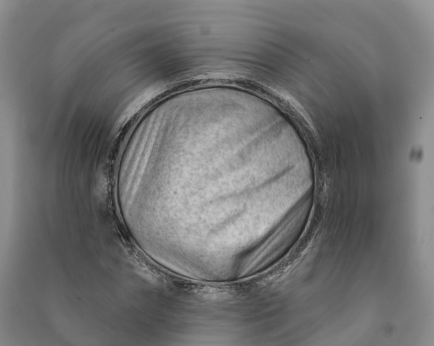 X0000090970874200708161834