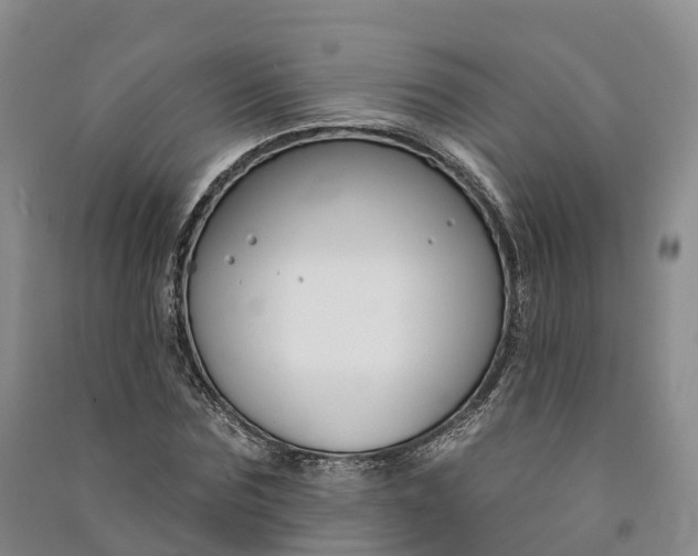 X0000090970875200708161834