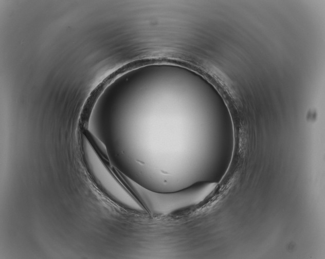 X0000090970876200708161834