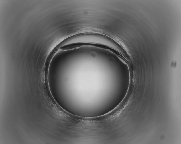 X0000090970877200708161834