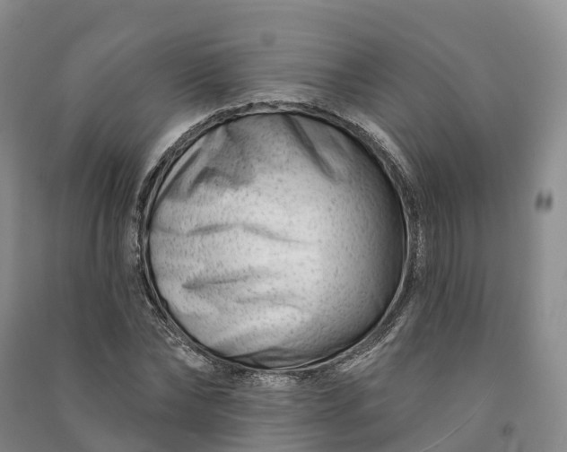 X0000090970878200708161834