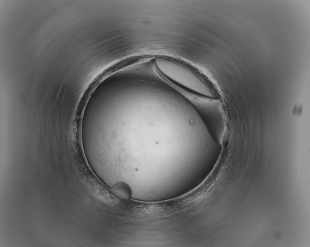 X0000090970879200708161834