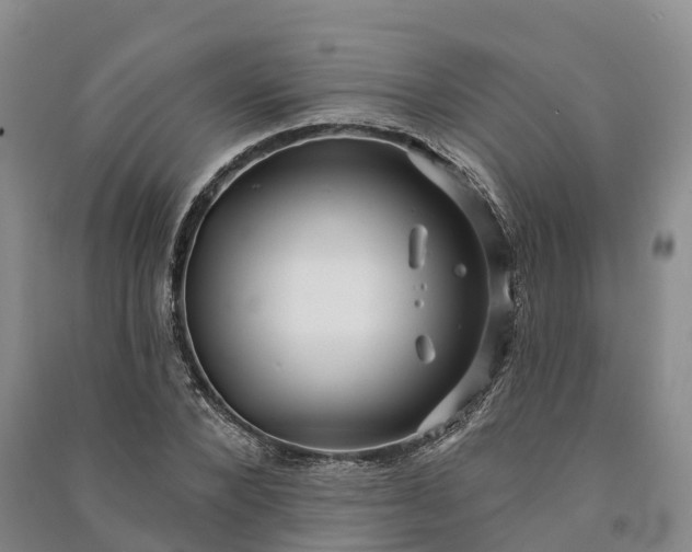 X0000090970880200708161834