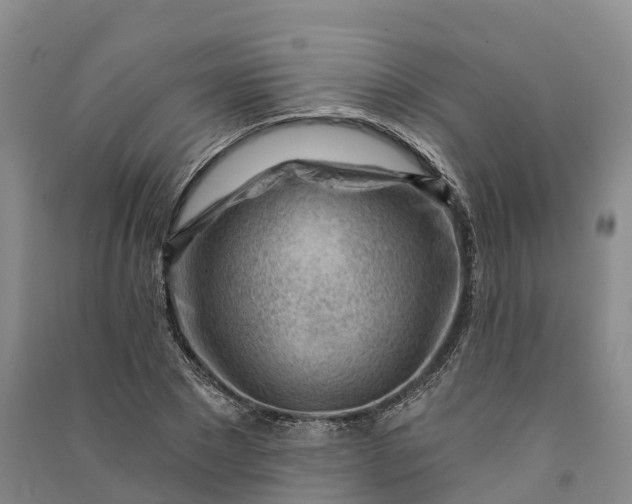 X0000090970881200708161833