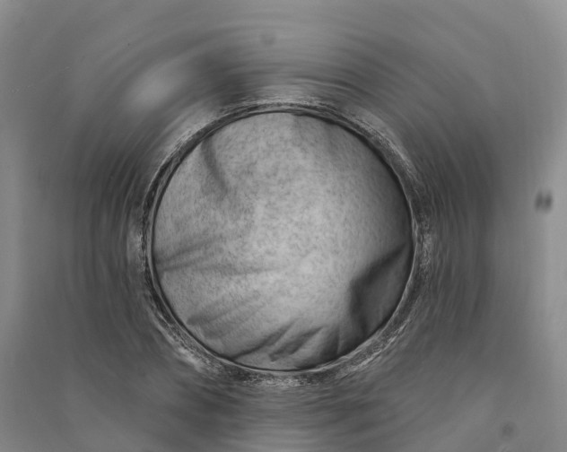 X0000090970882200708161833