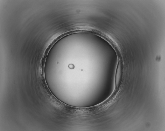 X0000090970883200708161833