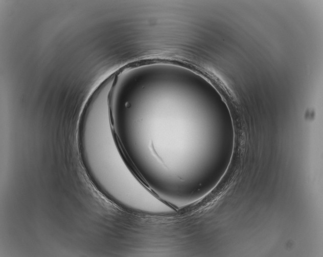 X0000090970884200708161833