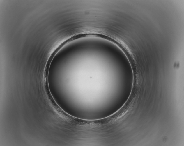 X0000090970885200708161833