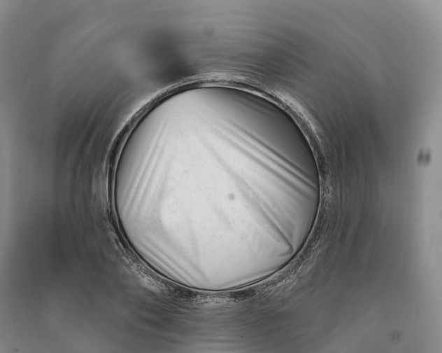 X0000090970886200708161833