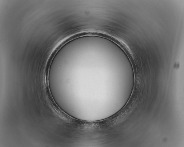 X0000090970887200708161833