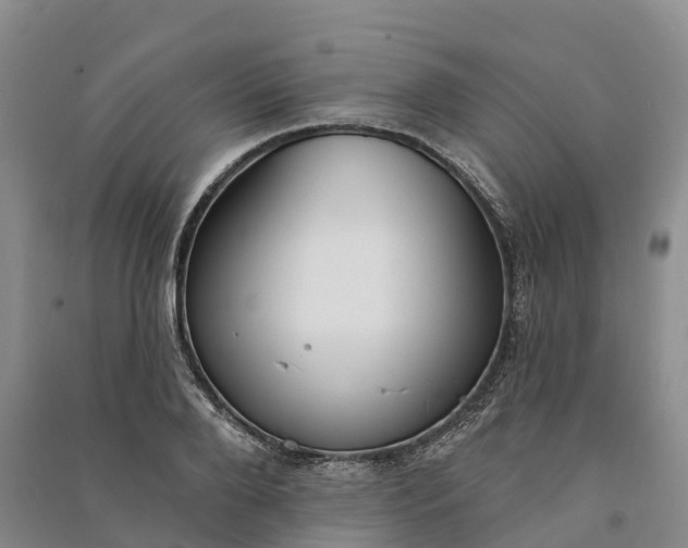 X0000090970888200708161833