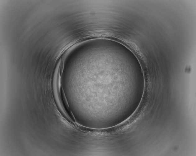 X0000090970889200708161833