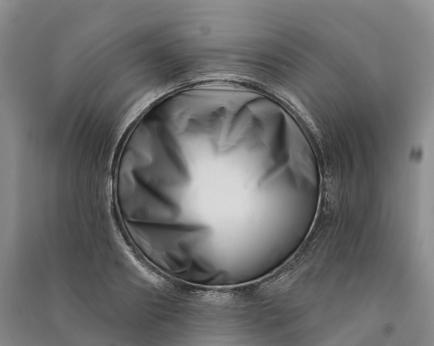 X0000090970890200708161833