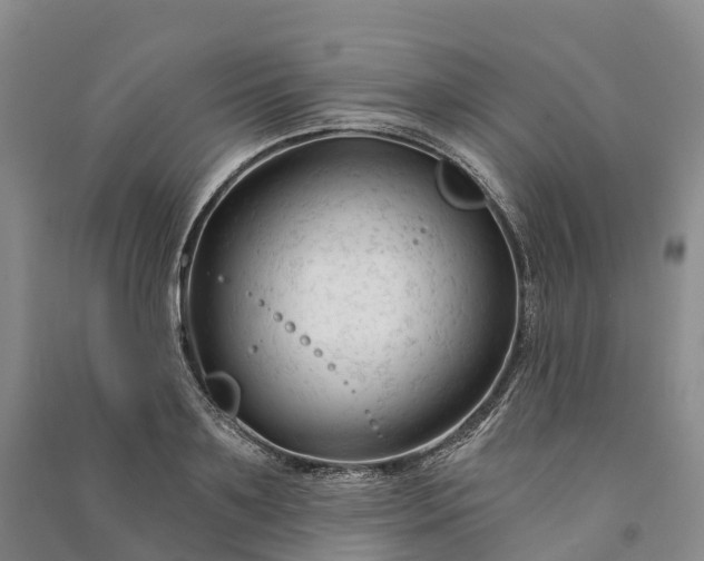 X0000090970891200708161833