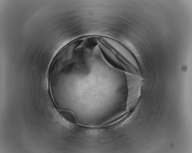 X0000090970892200708161833