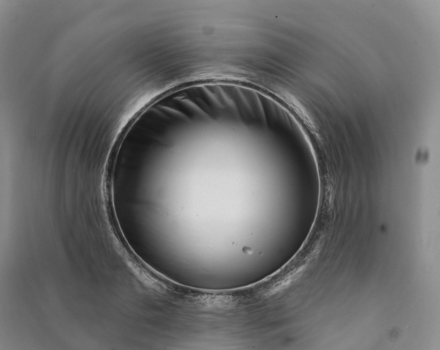 X0000090970893200708161833