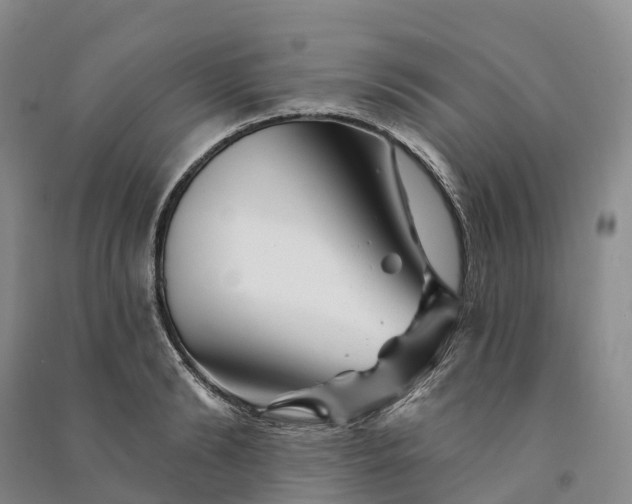 X0000090970894200708161833