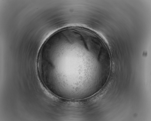 X0000090970895200708161833