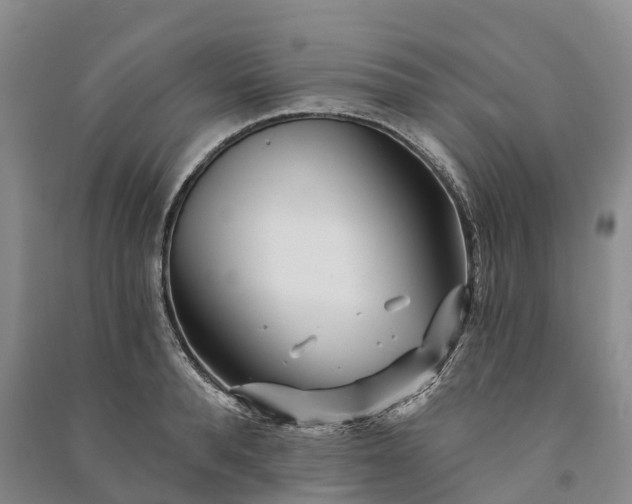 X0000090970896200708161833