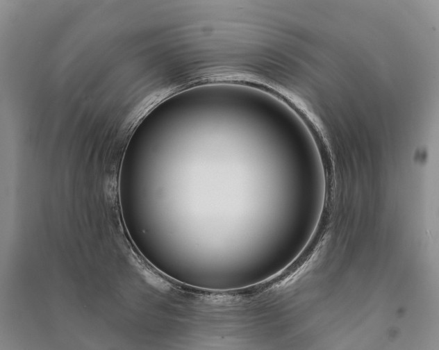 X0000090970897200708161833