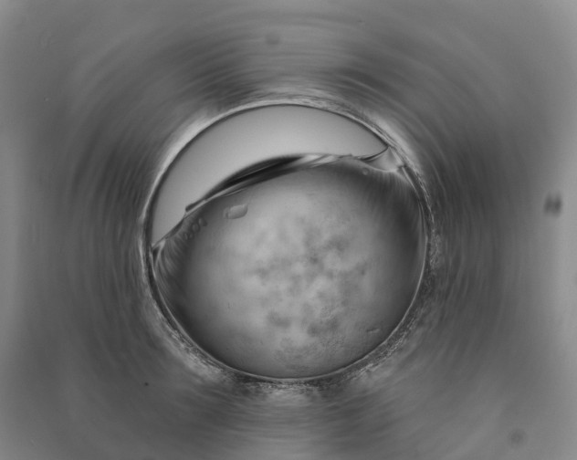 X0000090970899200708161833