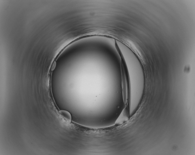 X0000090970900200708161833