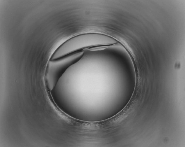 X0000090970901200708161833