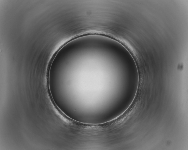 X0000090970902200708161833