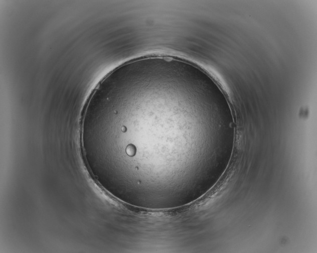 X0000090970903200708161833