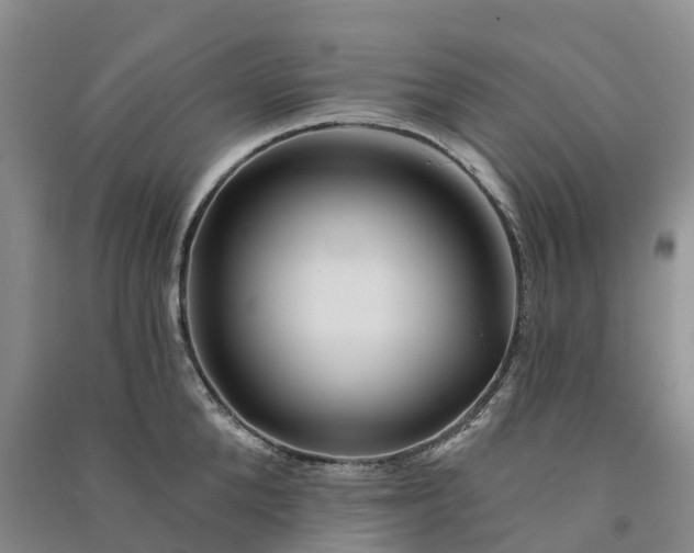 X0000090970904200708161833