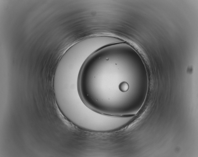 X0000090970905200708161833