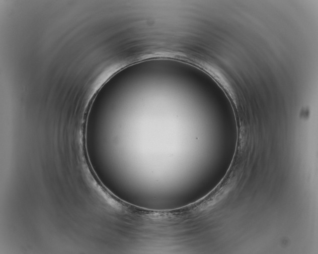 X0000090970906200708161833