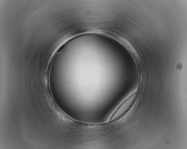 X0000090970908200708161833