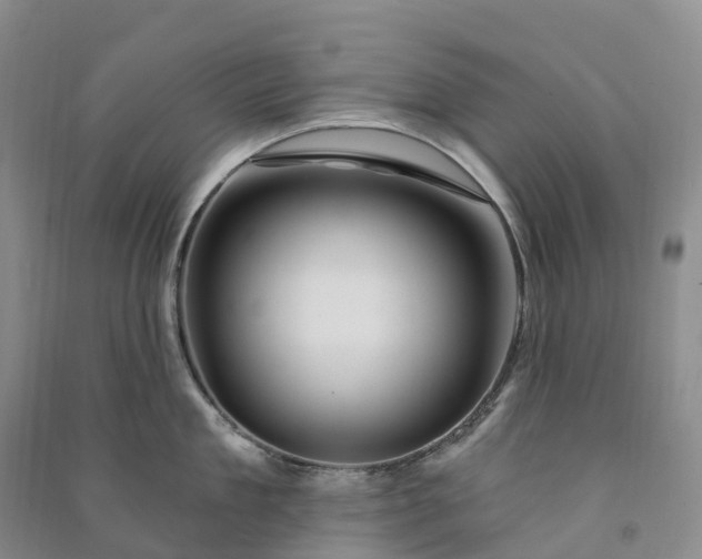 X0000090970909200708161833