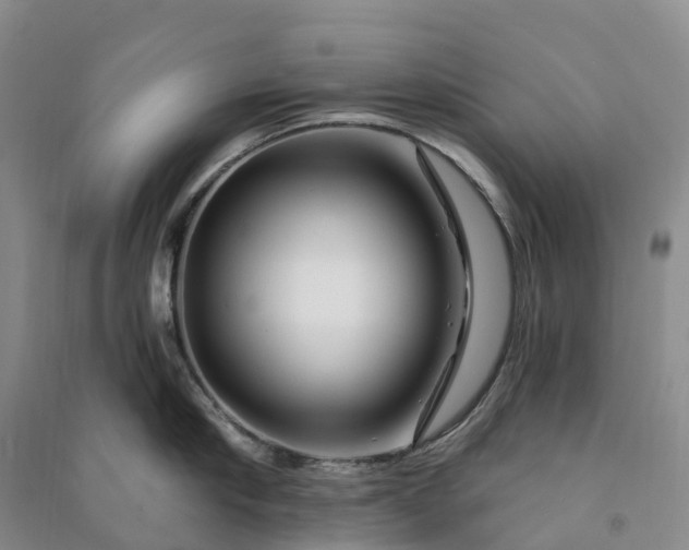 X0000090970910200708161833